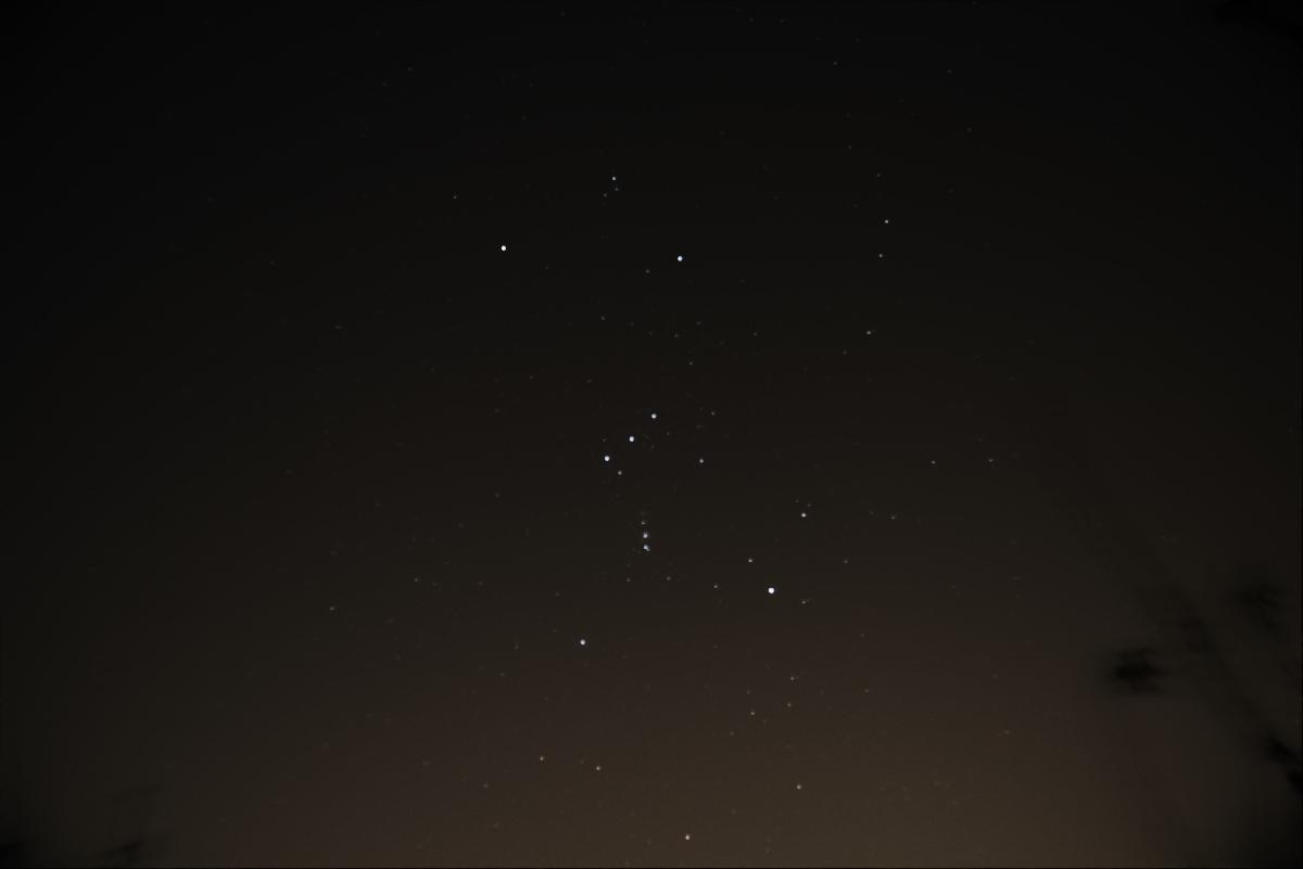 Orion 11/02/21 Orion 11/02/21
