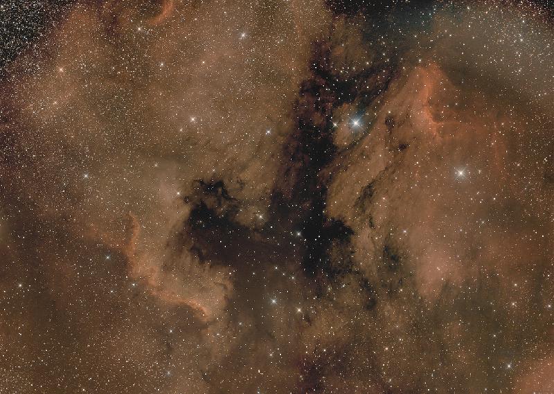 NGC7000 et IC5070 mosaïque