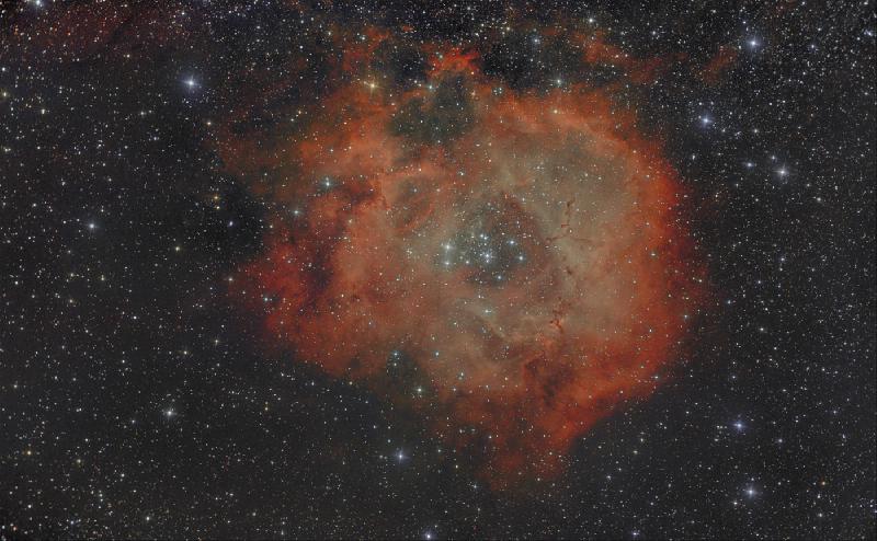 Rosette v3