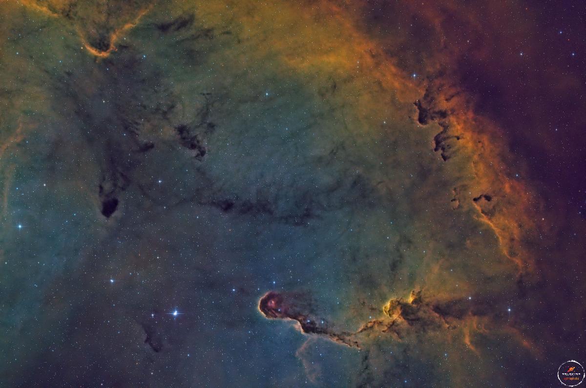 IC 1396 SHO IC 1396 SHO