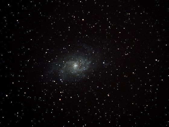 M33