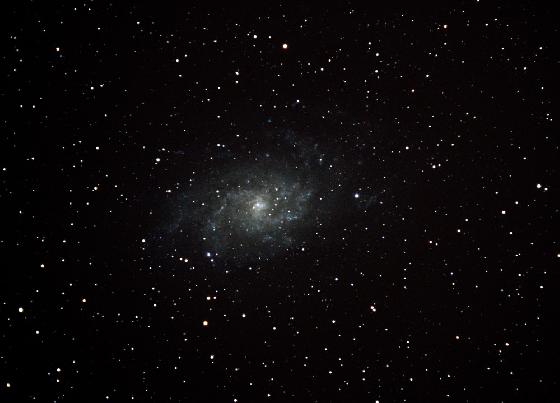 M33