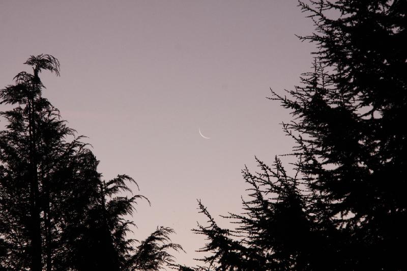 Lever de Lune en Beauce Lever de Lune en Beauce