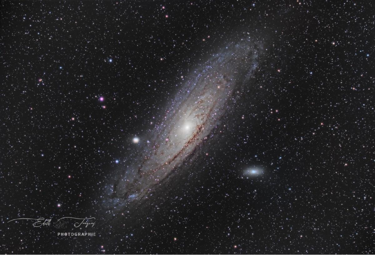m31 