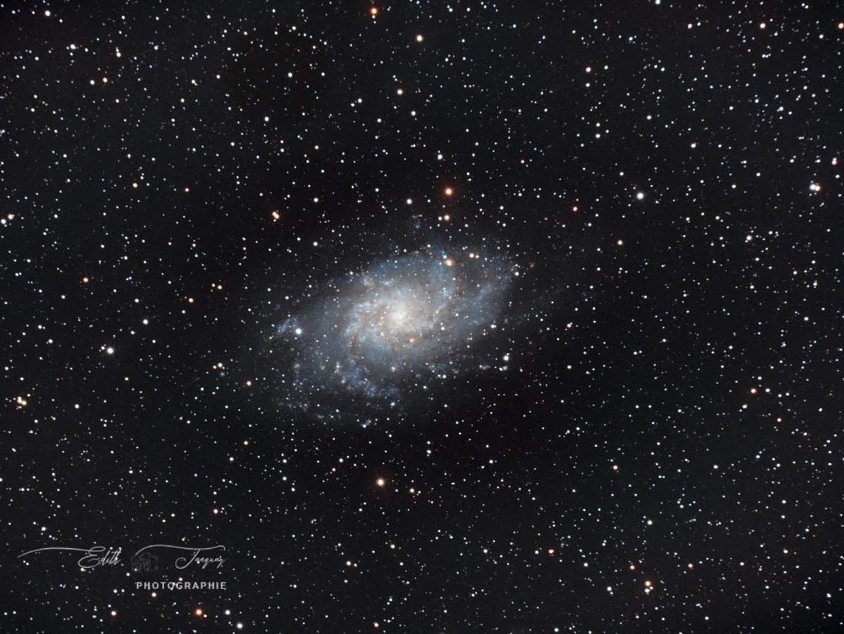 Galaxie du triangle