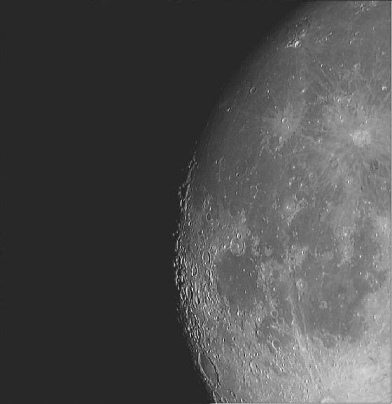 lune lune
