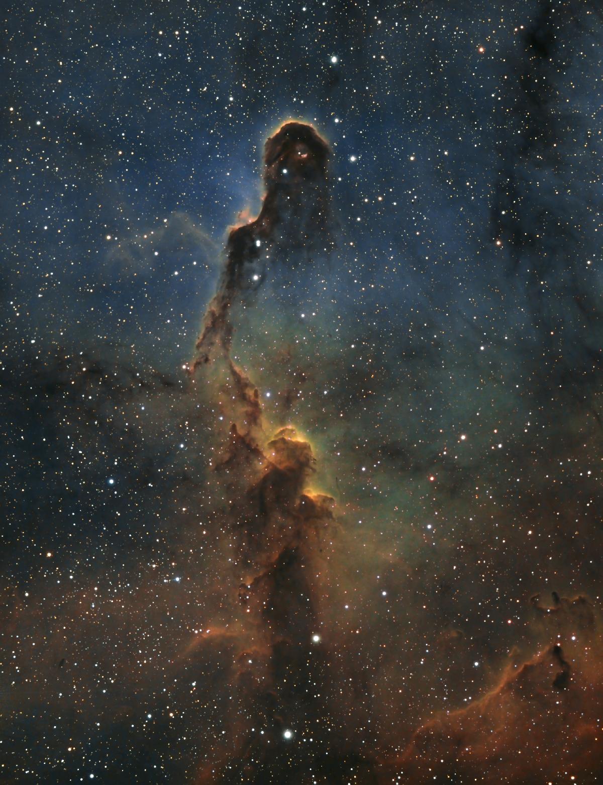 IC1396 - Nébuleuse de la trompe d'éléphant