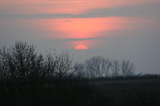 Strange Sun