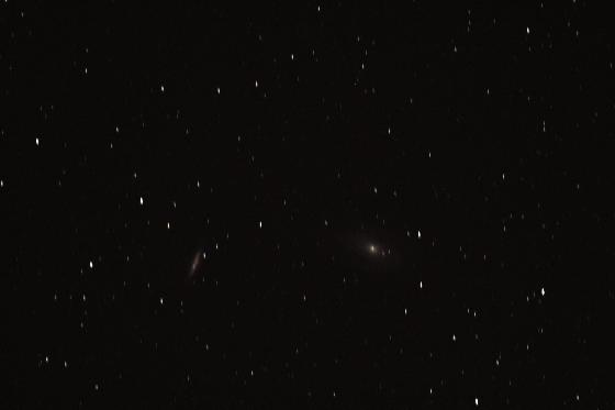 m 81-82