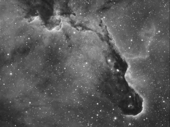 IC1396