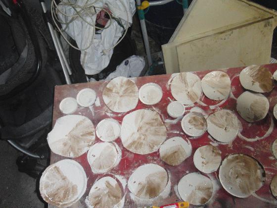 mon observatoire ecolo