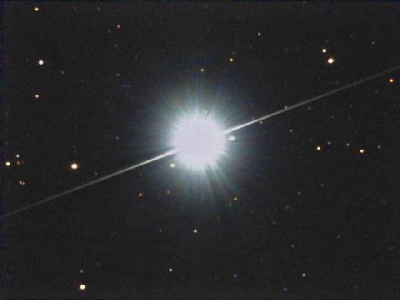 Vega Vega