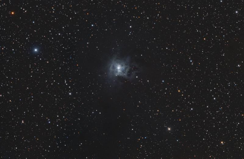 Iris Nebula Iris Nebula