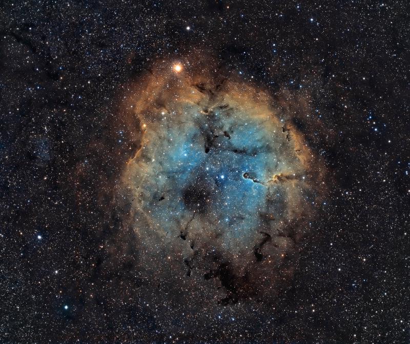 regis83_ic1396 regis83_ic1396