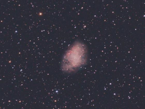 M1_crop M1_crop