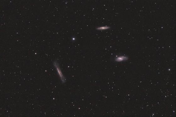 M65-M66 M65-M66