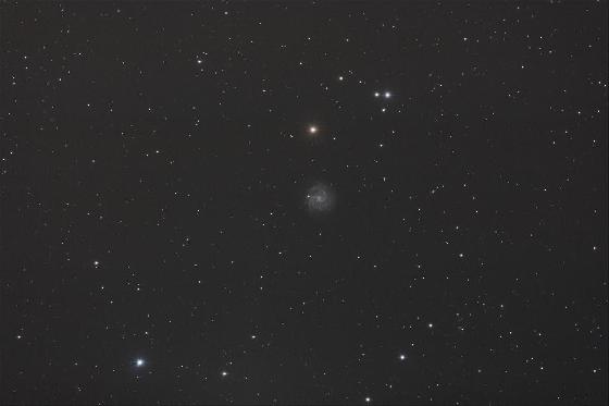 NGC3184 NGC3184