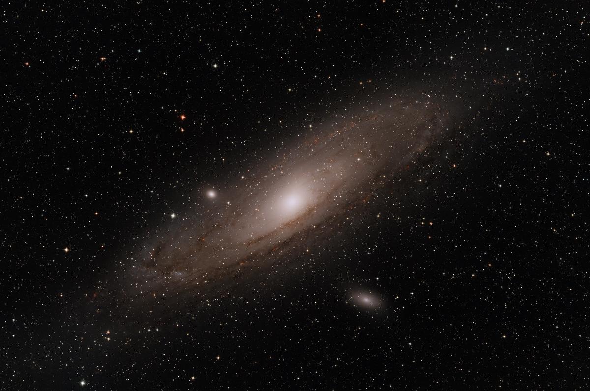 M31