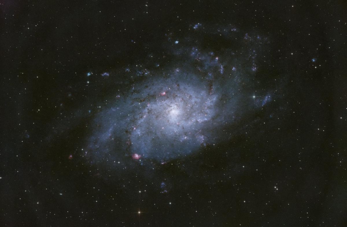 M33