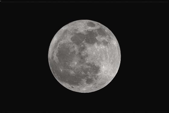 lune lune