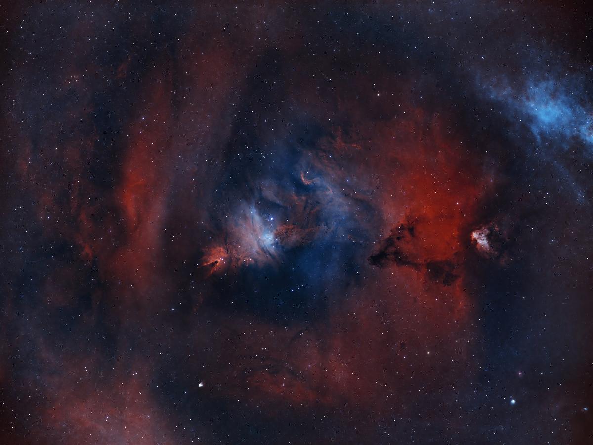 NGC2264