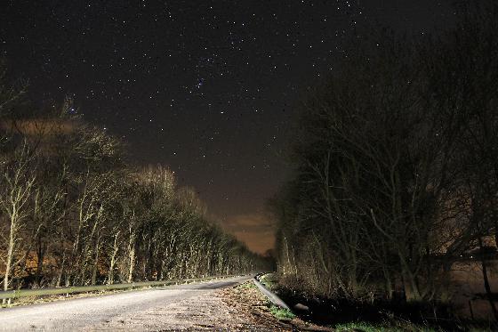 pleins phares sur Orion