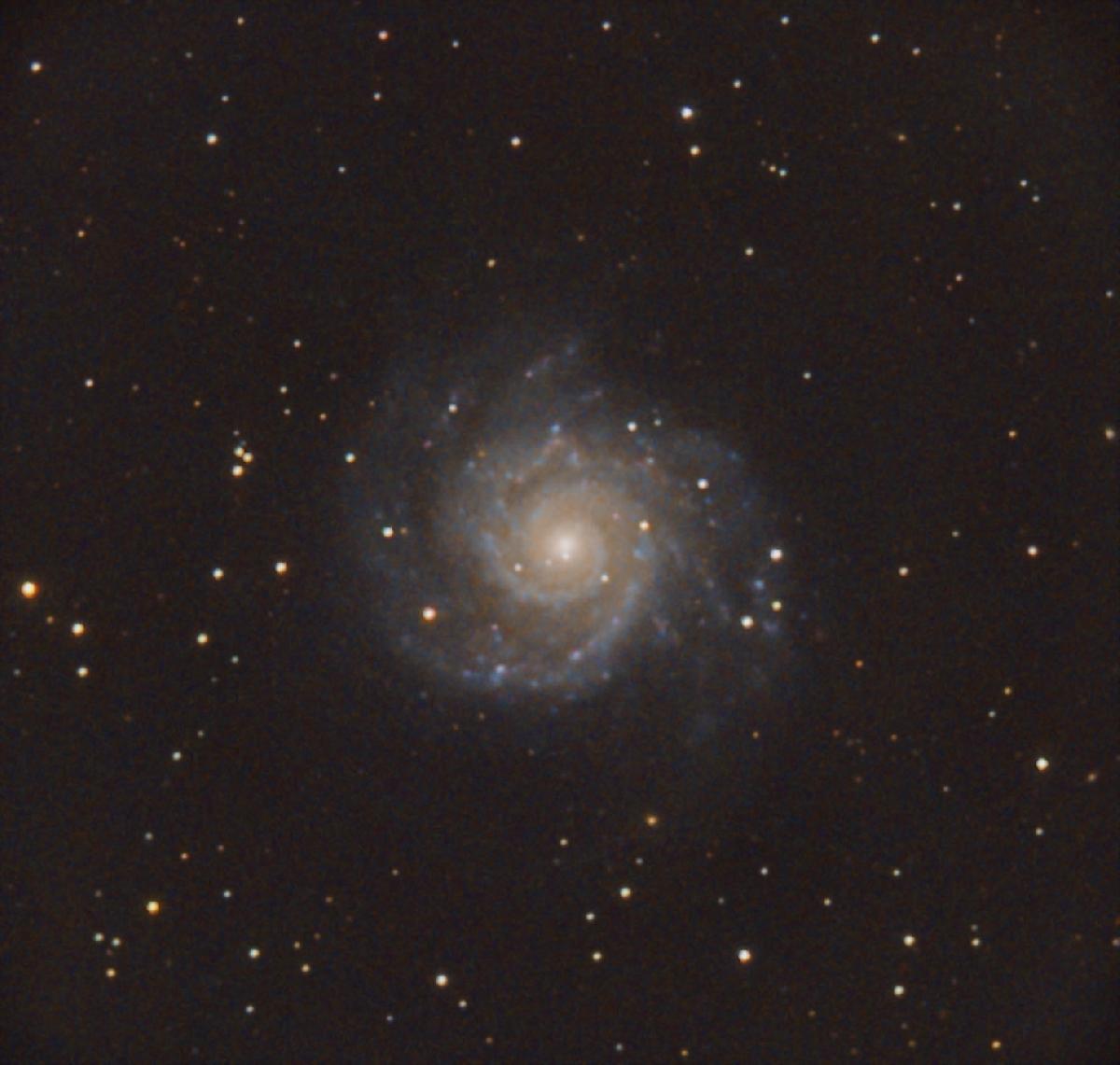 m 74 m 74