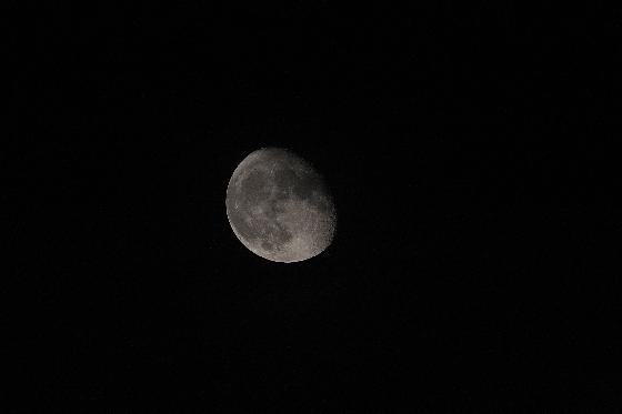 lune lune