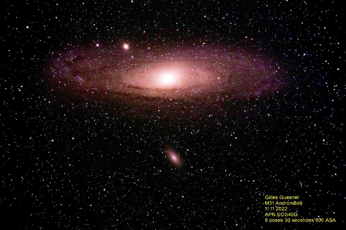 M31