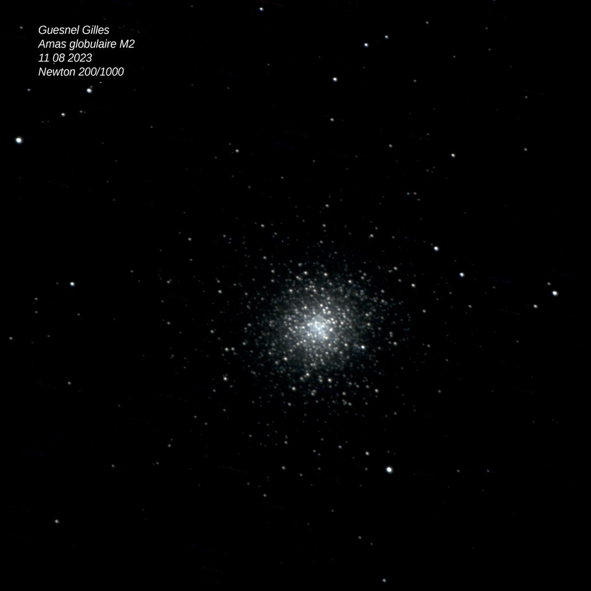M2