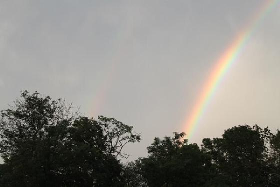 arc