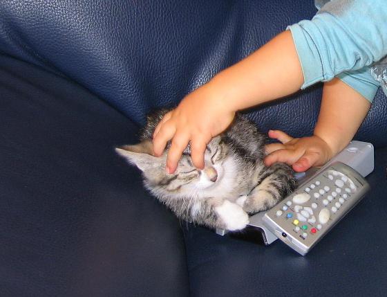 chat