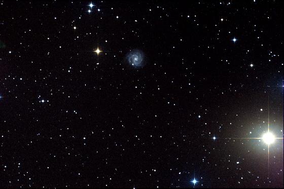 NGC3184 NGC3184
