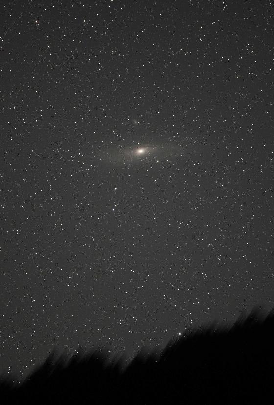 M31 brute