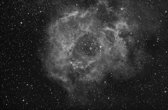 Rosette RVB NB