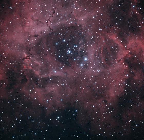 rosette HaO3 RVB