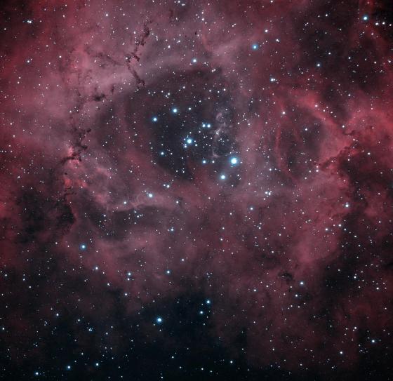 Rosette interferentiels