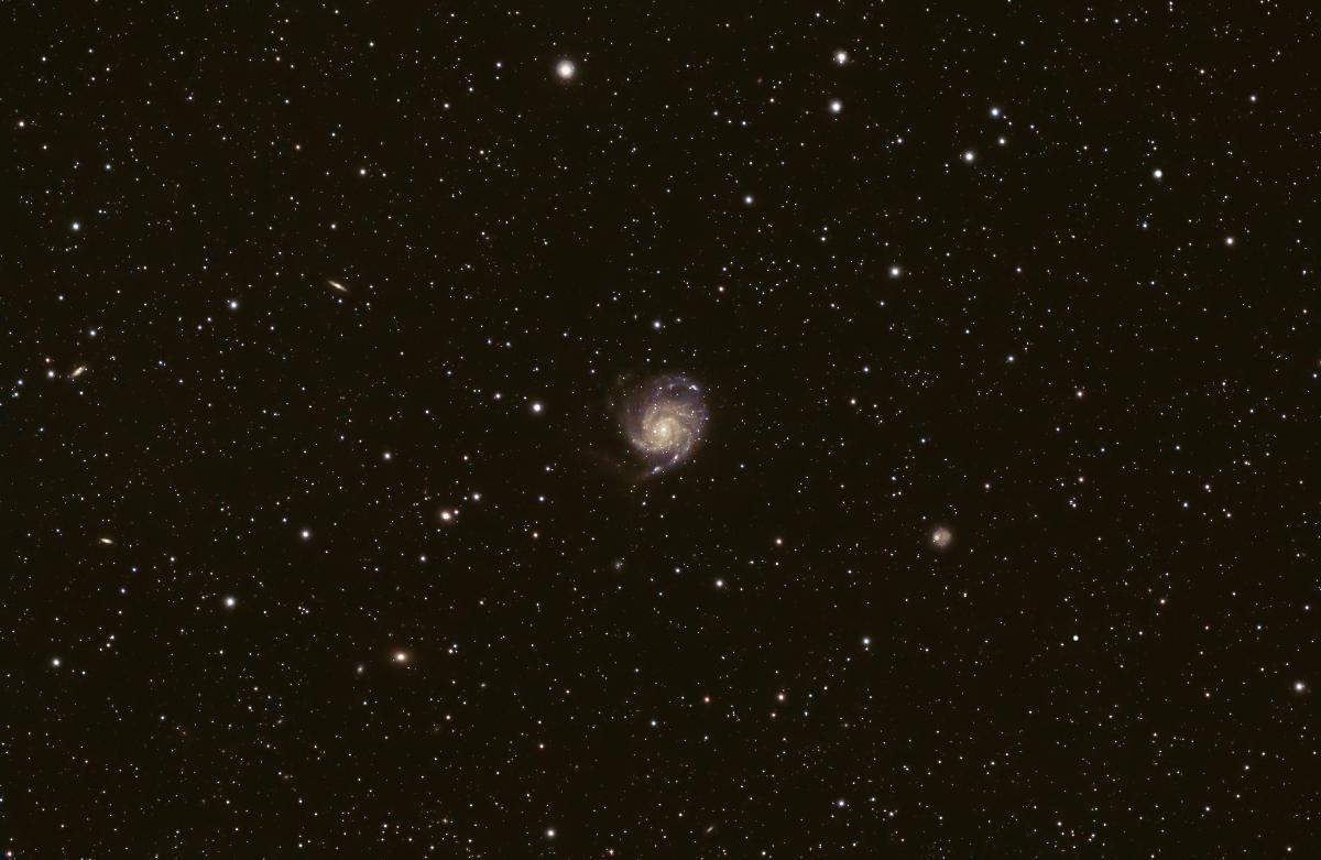 M101 M101