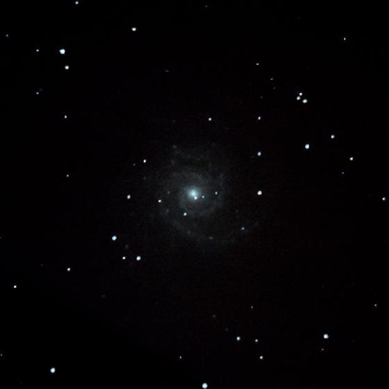 M 74