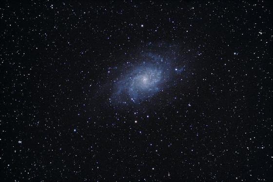 M33 M33