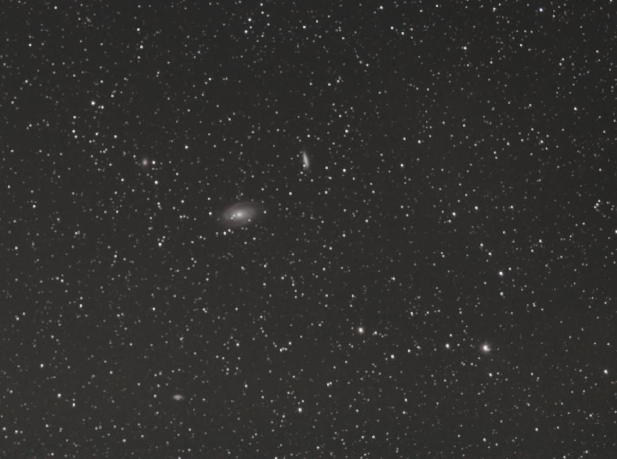 M81