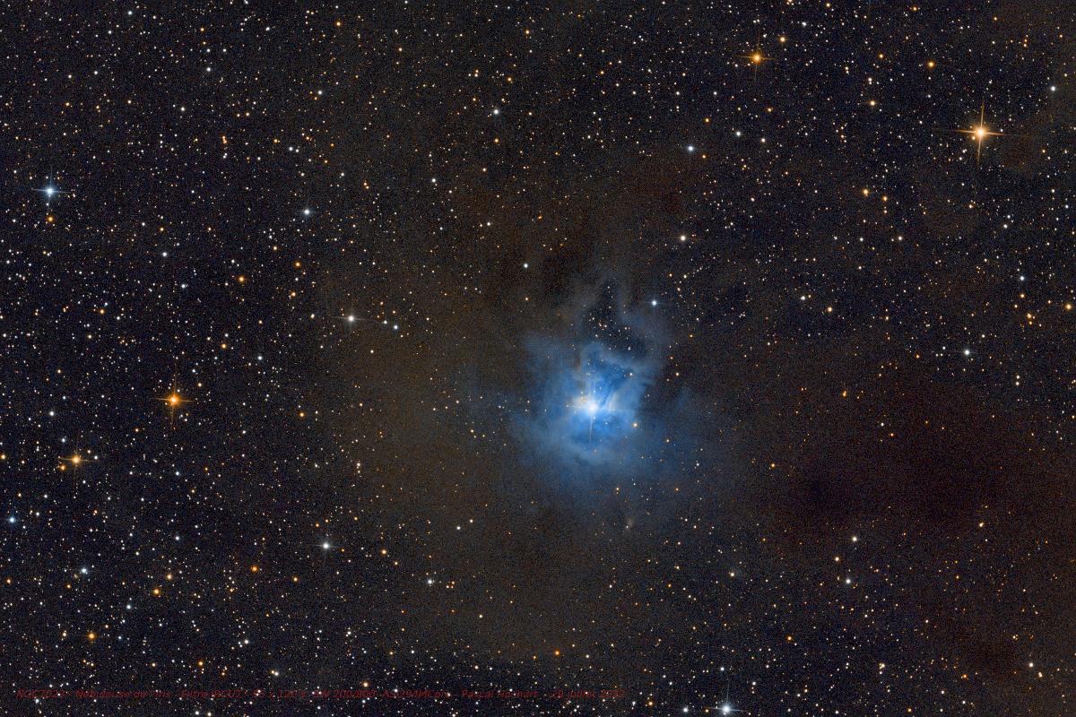 NGC 7023 IRIS