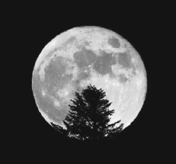 Lever de Lune