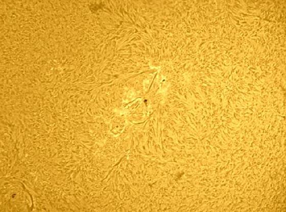 soleil 17 mai 2014