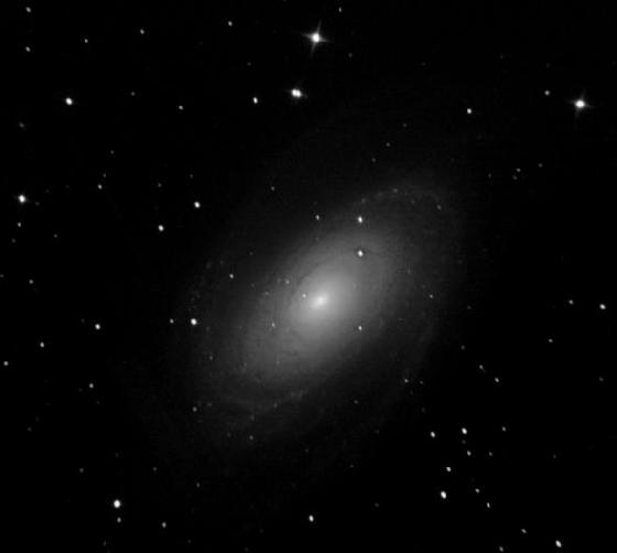 M81