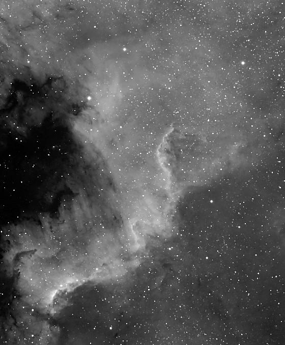 NGC7000