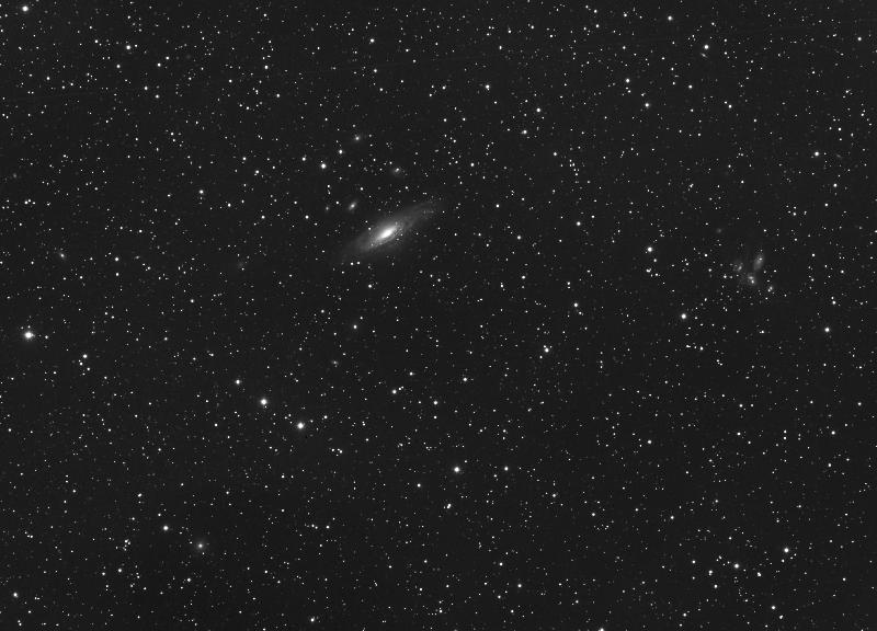 NGC7331