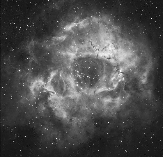 Rosette Halpha Rosette Halpha