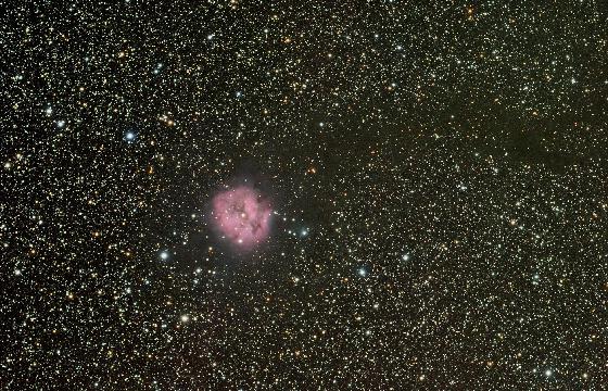 Cocoon Nebula Cocoon Nebula