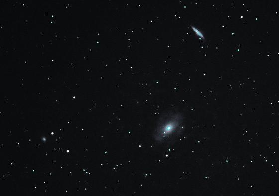 M81 M81